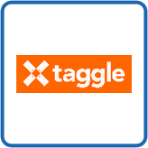 Taggle Systems logo